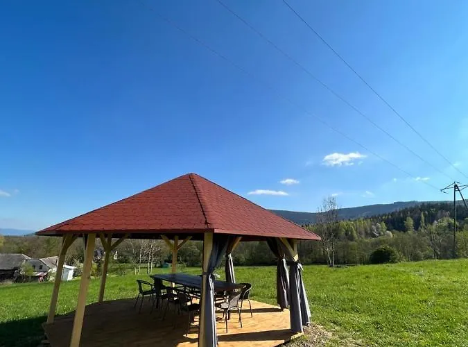 Liana 波兰尼卡-兹德鲁伊