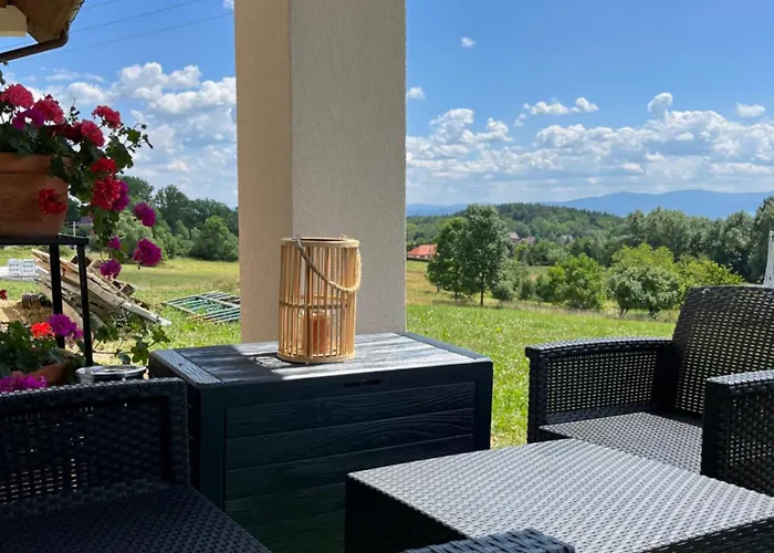 Liana * 波兰尼卡-兹德鲁伊