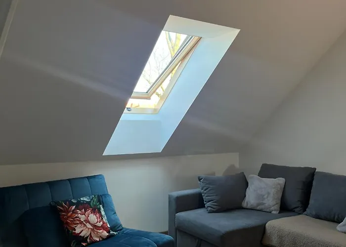 Liana * 波兰尼卡-兹德鲁伊