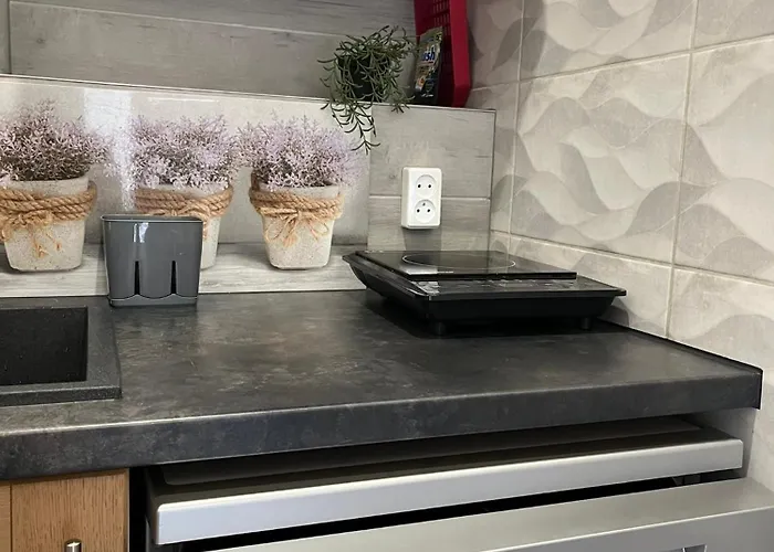 Liana 农家乐 波兰尼卡-兹德鲁伊